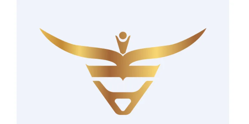 Analysing the Financial Performance of AKI INDIA LIMITED